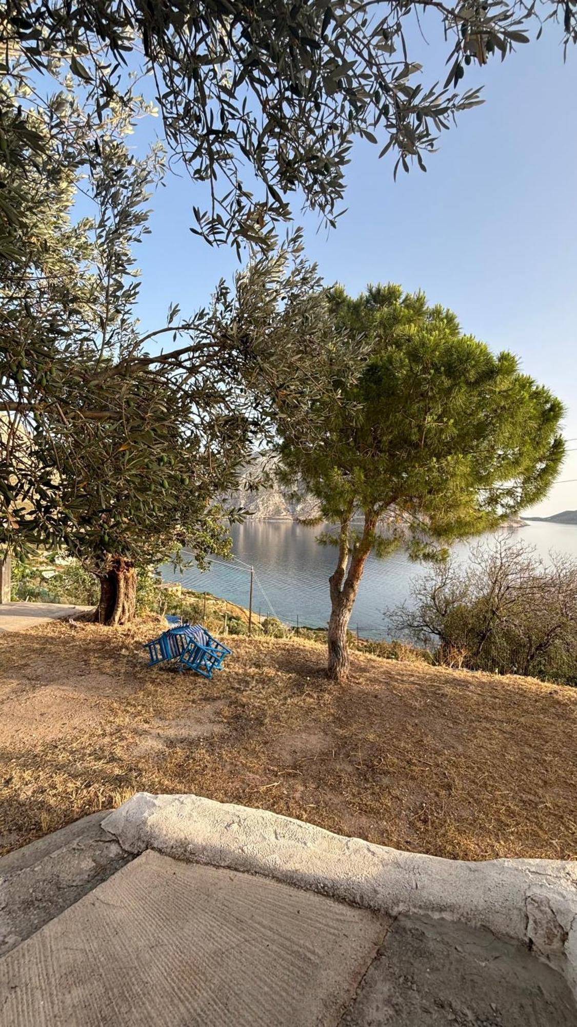 The Traditional House-Skalia,Kalymnos ภายนอก รูปภาพ